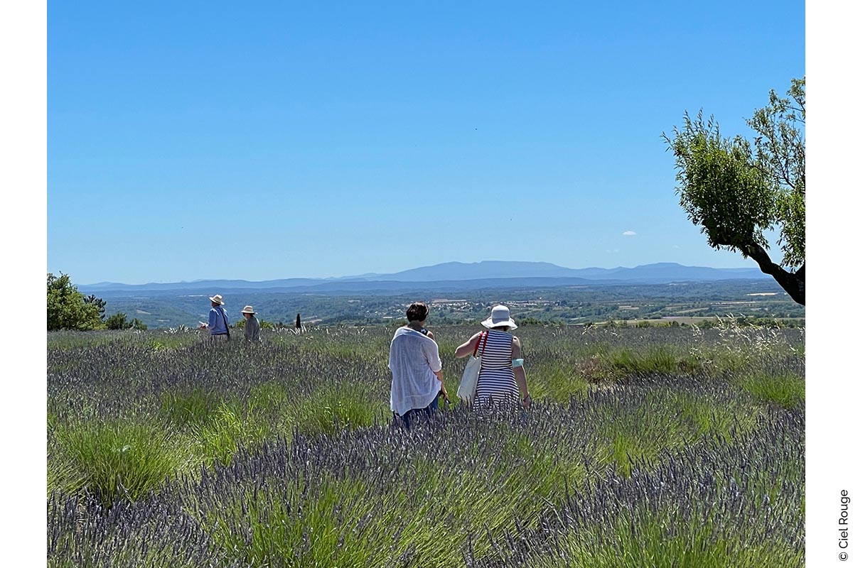 L'Occitane