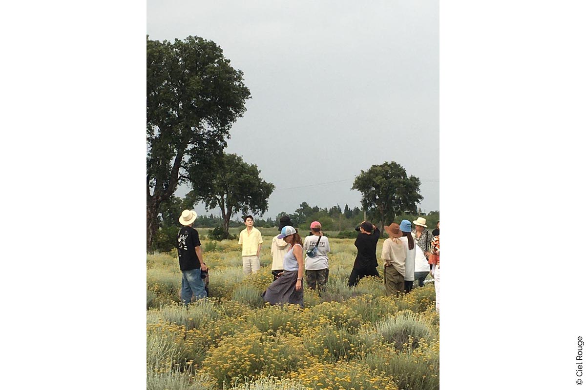 L'Occitane