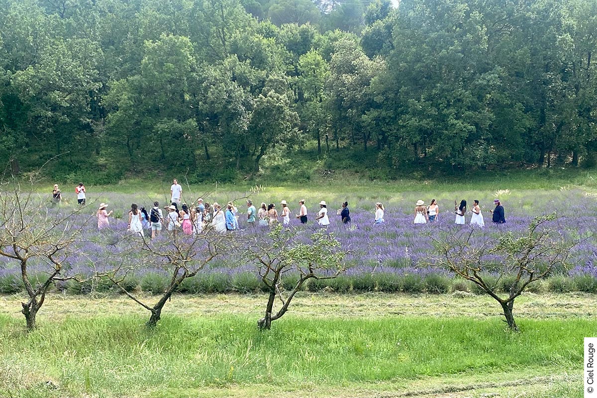L'Occitane